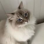 Eleanor Fitzpatrick - @eleanorfitzpatrick2025 - Instagram