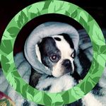 Eleanor Freeman - @jetson4684 - Instagram
