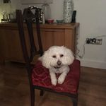 Elinor Gordon - @el.jeffries - Instagram