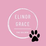 Elinor Grace 🎀 - @elinorgracethegolden - Instagram
