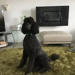Eleanor Graham - @eleanorgraham5594 - Instagram
