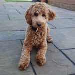 Eleanor Graham - @eleanor.graham.77398 - Instagram
