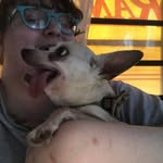 Eleanor Graves - @meowwow72 - Instagram
