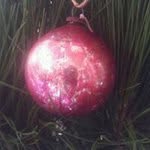Eleanor Graves - @eleanor_melbourne - Instagram
