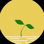 Eleanor Green Office - @eleanorgreenoffice - Instagram