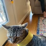 Eleanor Greer - Facebook