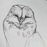 Elinor Harrison - @elinorscribbles - Instagram