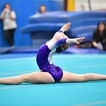 Eleanor Henry - @eleanorhenrygymnastics - Instagram