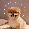 Elinorlee - @elinorarrieta - TikTok