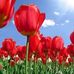 Eleanor Schuster - Facebook