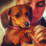 Elinor Scott - @funkkatfriend - Instagram