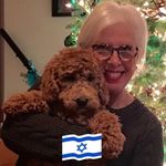 Eleanor Silverman Fox - @eleanorfox8345 - Instagram
