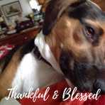 Eleanor Singer - Facebook