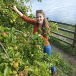 Eleanor 🌱small space fruit & veg 🌱 Cumbrian coast - @postagestamp_foodgarden - Instagram