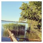 Eleanor Swift - @eleanorswift5 - Instagram
