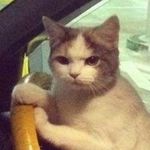 Eleanor Swift - @saturn.m00nlight - Instagram