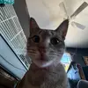 Elinor Tay - @elinor.tay8 - TikTok