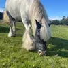 Elinor - @elinortaylor71 - TikTok