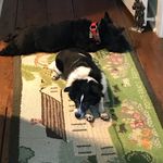 Eleanor Todd - @ctwhitman46 - Instagram