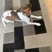 Eleanor Todd - Facebook