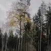 elinorevincent - @elinorevincent - TikTok