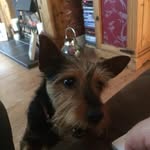 Eleanor wallace - @eleanorwallace075 - Instagram