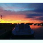 eleanor ward - @wardy91234 - Instagram