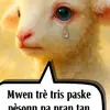 Elinor - @elinor7371 - TikTok