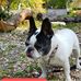 Eleanor Watts - Facebook