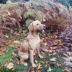 Eleanor Webster - @eleanor.webster.777 - Instagram