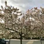 Elinor Werner - @photography_art_page_12 - Instagram