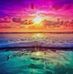 Elinor Werner - Facebook