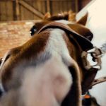 Elinor - @elinorwester08 - Instagram
