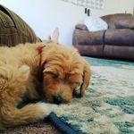 Eleanor Mae Winter - @thatdoodle_ellie - Instagram