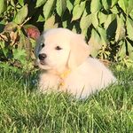 Eleanor “Rigby” Winter - @eleanor_rigby_thegolden - Instagram