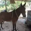 Elio Blanco - @elio.blanco07 - TikTok