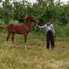 Elio Cabrera875 - @eliocabrera875 - TikTok