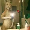 elioCabrera0301 - @elio.cabrera0 - TikTok
