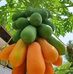 Elio Delgado - Facebook