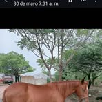 Elio Escobar - Facebook