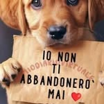 elio fontana - @elio_fontana - Instagram