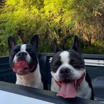 milo y elio - @miloyelio - Instagram
