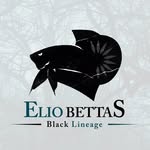Elio Rocha - @elio.bettas - Instagram