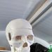 Professor Elio Rocha - Facebook