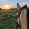 Elio Rojas - @elio.rojass - TikTok