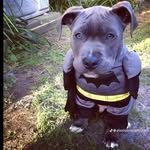 Eliot Alexander Arias Vázquez - @eliotalexanderariasvazquez - Instagram