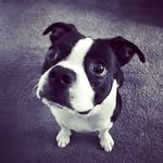 Eliot Banks - @eliot_theboston - Instagram