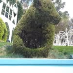 Eliot Hall - @eliot.hall.94 - Instagram