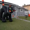 Hallown On Eliot - @hallown.on.eliot - TikTok