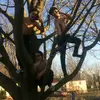 Éliot Raymond - @eliot.raymond.bobby - TikTok